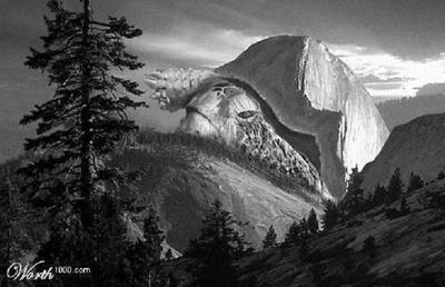 image006_thumb.jpg
