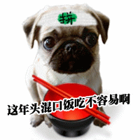饭.gif