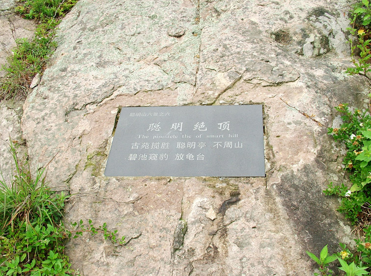 原来要去聪明绝顶