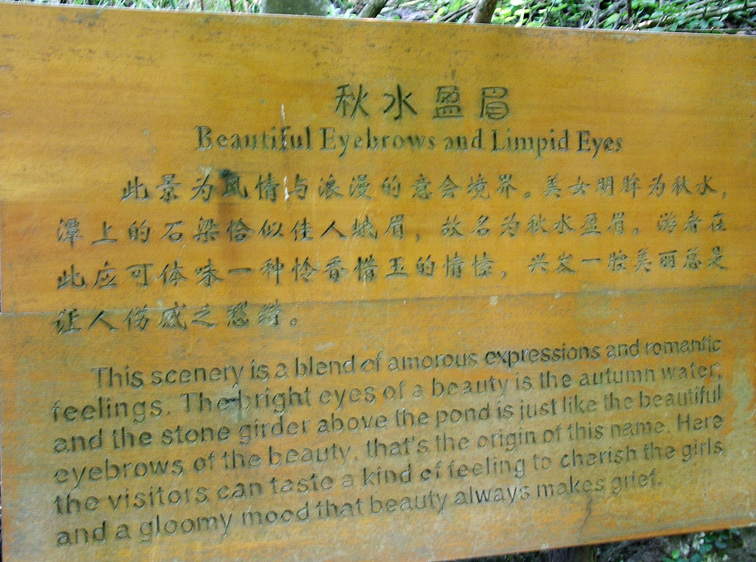 160.JPG