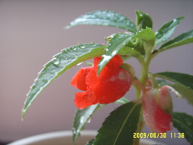 SSL14497.JPG