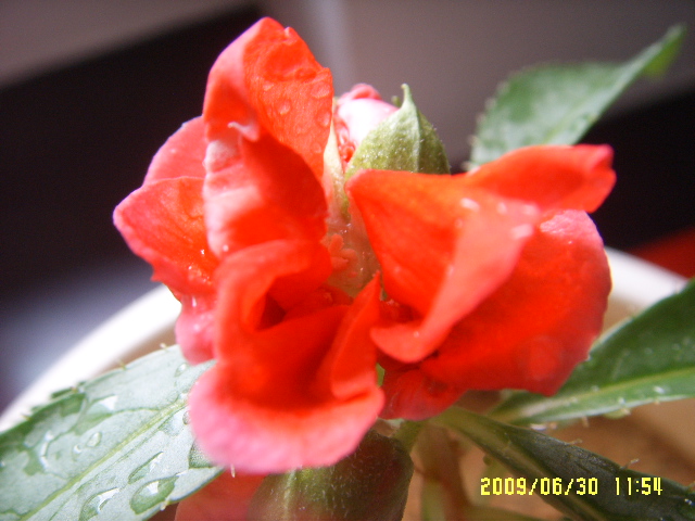 SSL14551.JPG