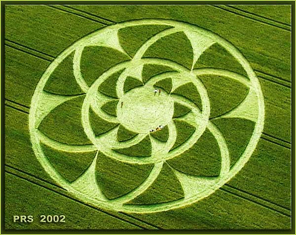 2003910937458704.jpg