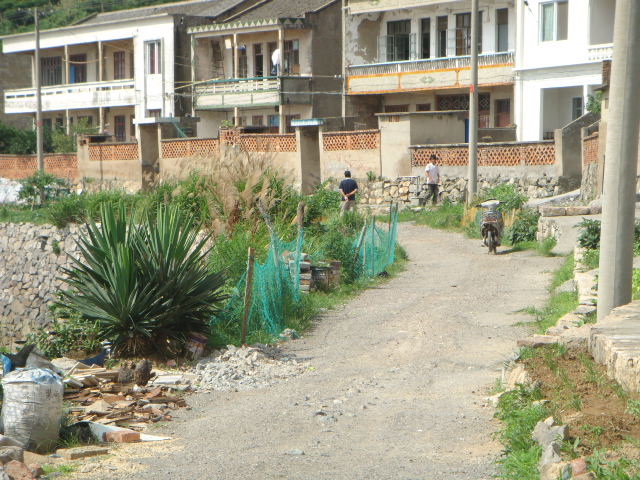DSC04787.JPG