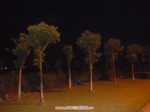 P1050515.JPG