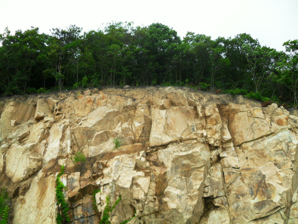 SDC10417.JPG