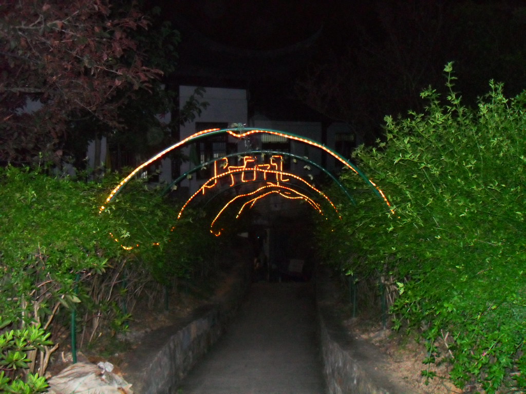 SDC10542.JPG
