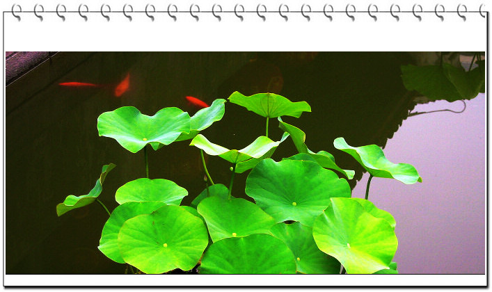 20090624_0b79acb3139772fd79d3s8LSDoBbR6E8.jpg