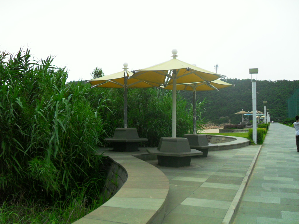 SDC10489.JPG
