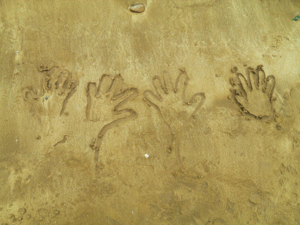SDC10368.JPG