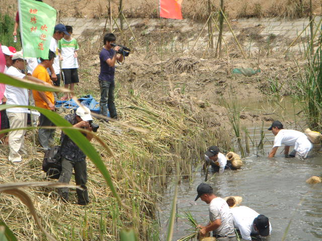 DSC05245.JPG
