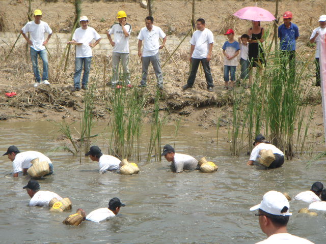 DSC05246.JPG