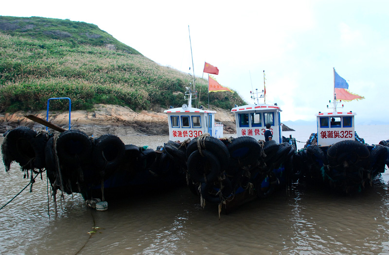 DSC_0337.jpg