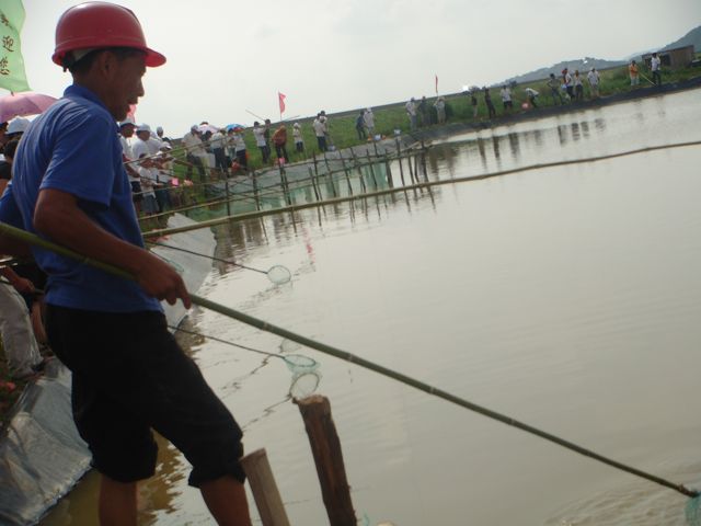 DSC05429.JPG