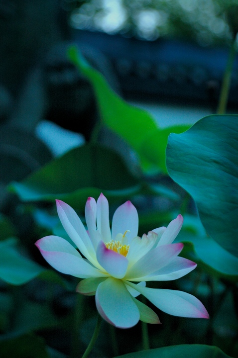 DSC_3785.jpg