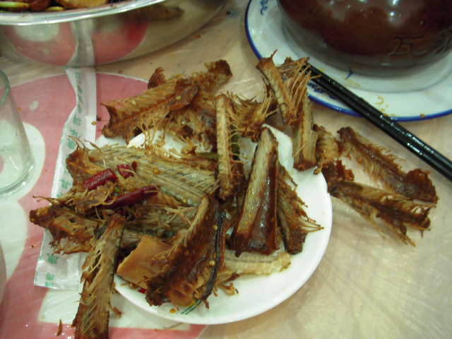 SSCN0192.JPG