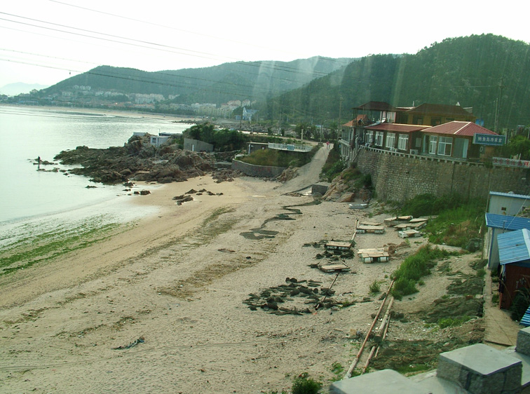 131.JPG