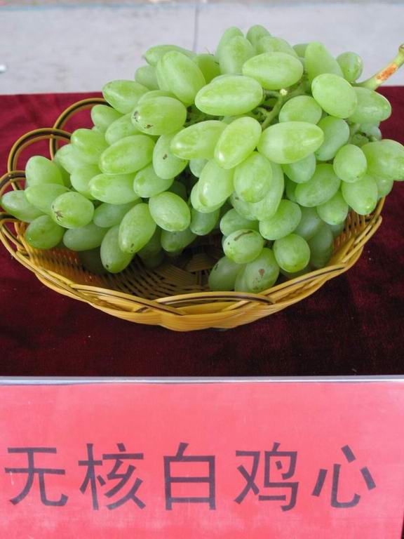 IMG_9193.JPG
