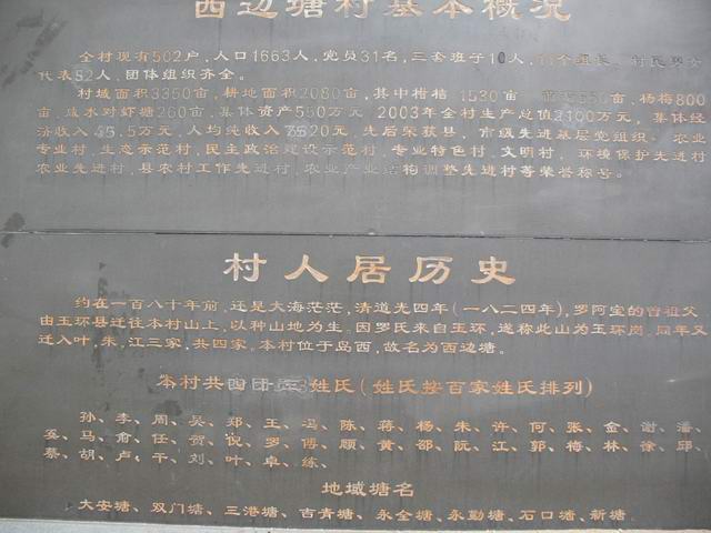 5IMG_9023.jpg