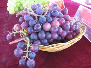 IMG_9220.jpg