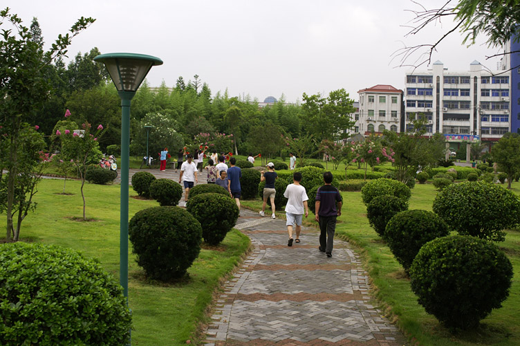 _ICT9983-1.jpg
