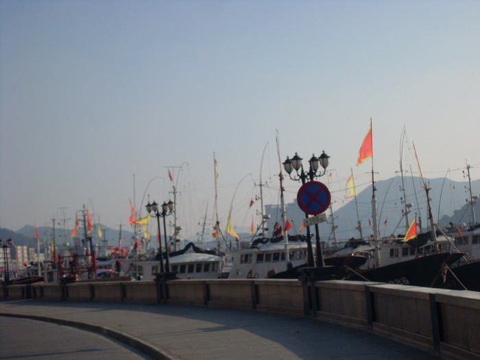 SL381590.jpg