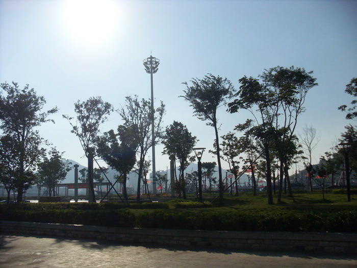 SL381611.jpg