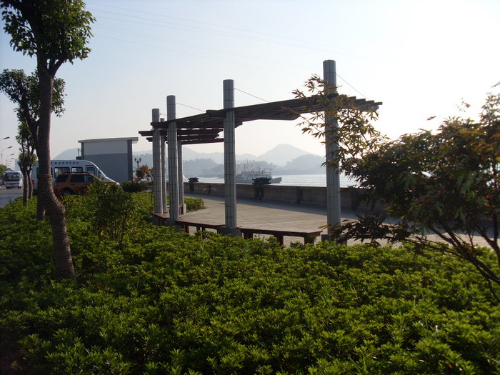 SL381579.jpg