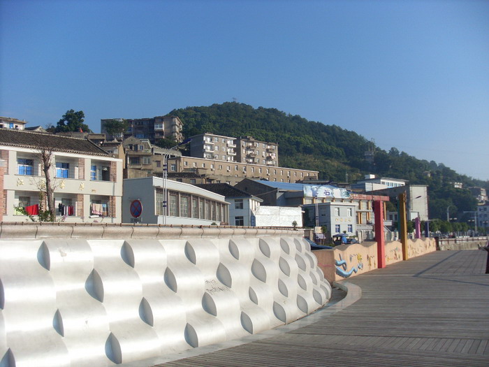 SL381570.jpg