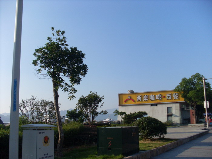 SL381557.jpg