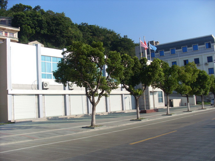SL381584.jpg