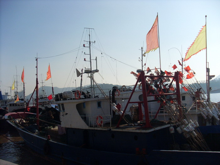 SL381593.jpg