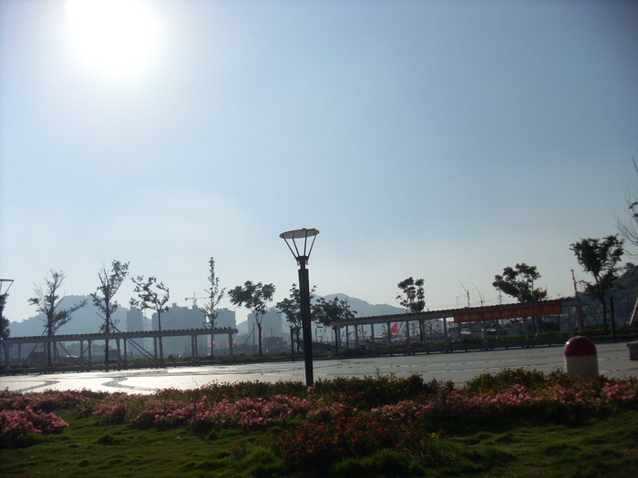 SL381615.jpg