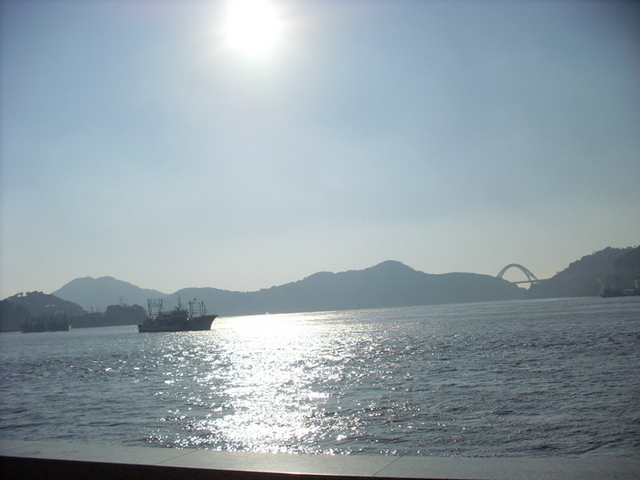 SL381589.jpg