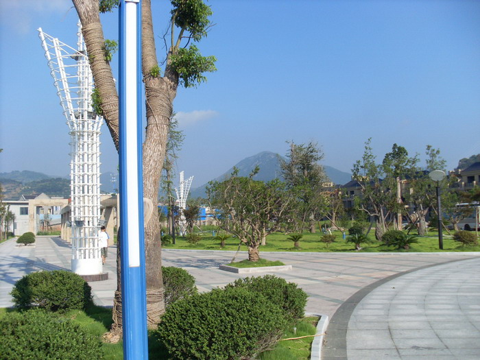 SL381633.jpg