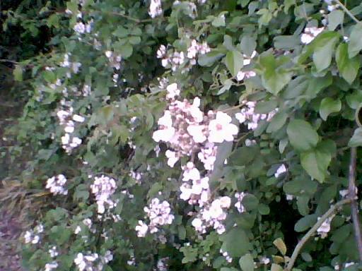 PIC_4997.jpg