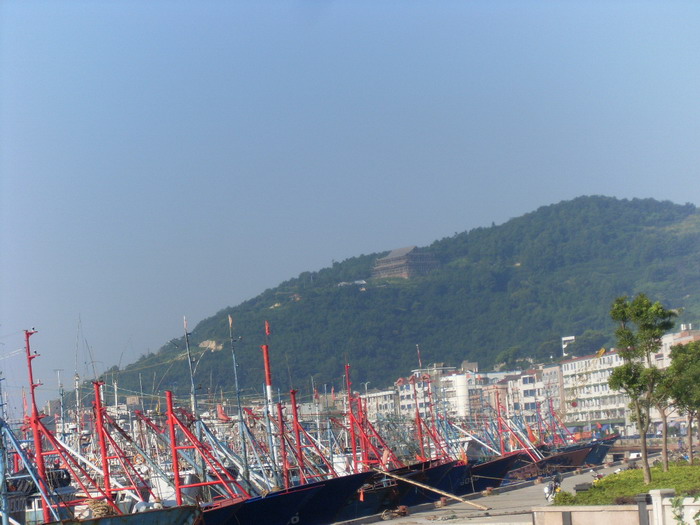 SL381628.jpg