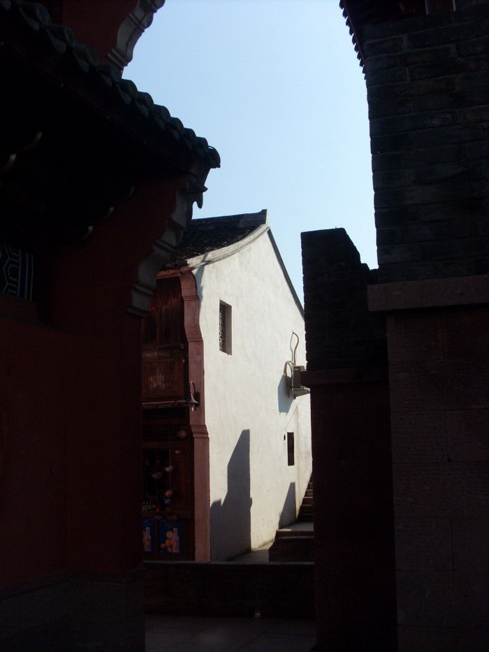 SL381646.jpg
