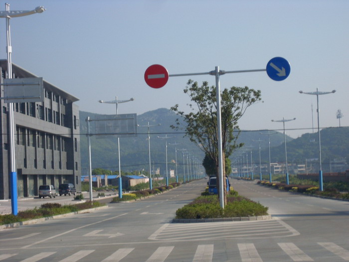SL381636.jpg