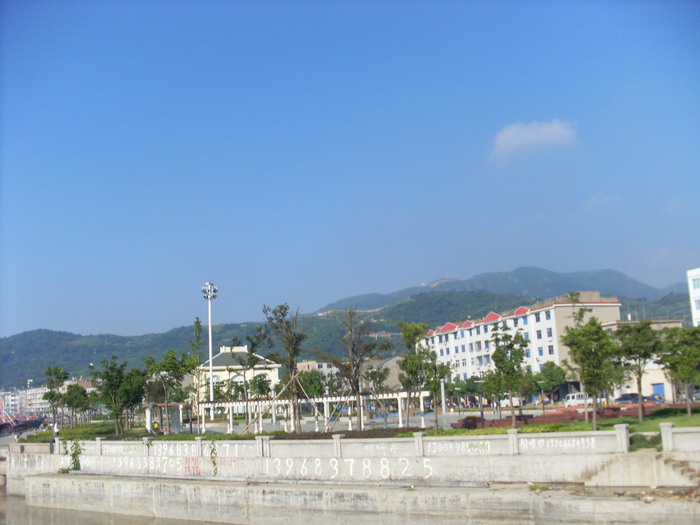 SL381627.jpg