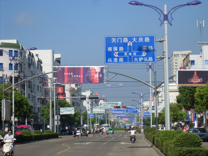 SL381667.jpg