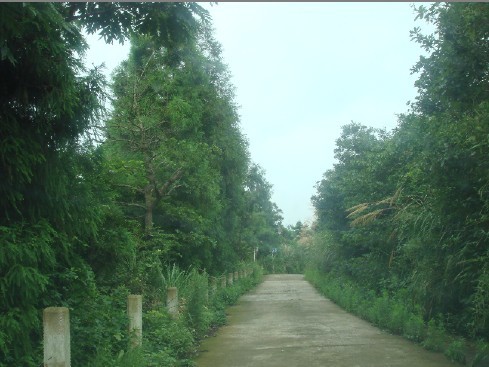 未命名2.jpg
