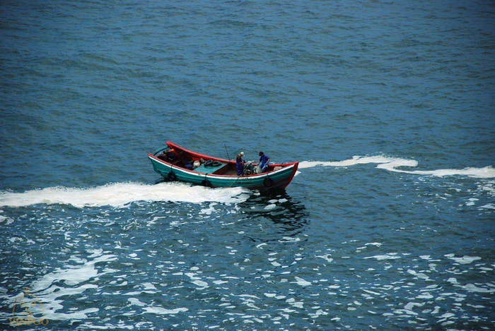 DSC_0377.jpg