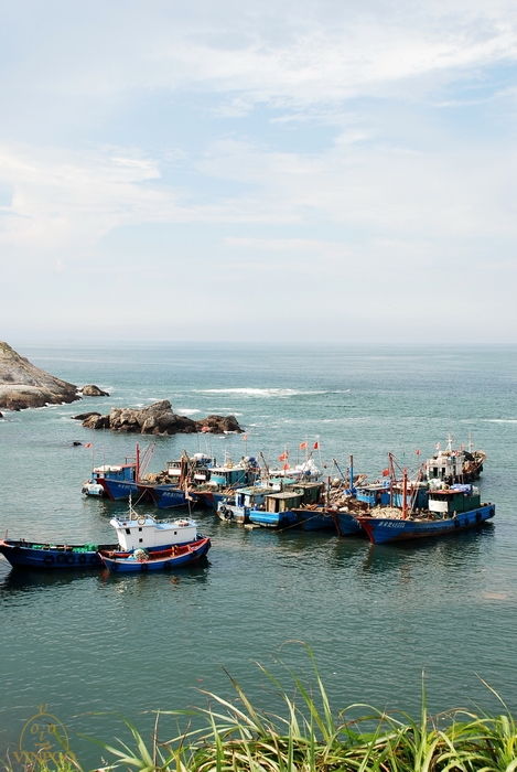 DSC_0273.jpg