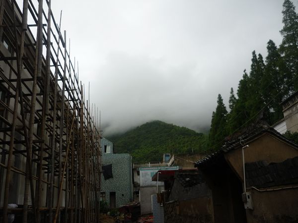下午的景色