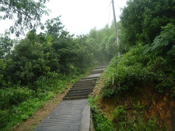 P1060357.JPG