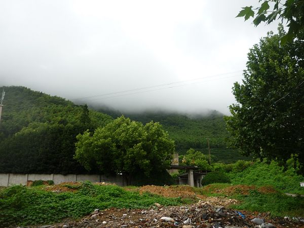 P1060354.JPG