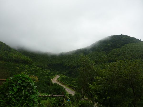 P1060355.JPG