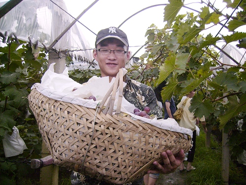 老鼠与劳动成果合影下~~