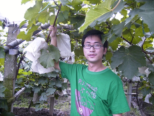 BOBO与葡萄的合影~~挖哈哈